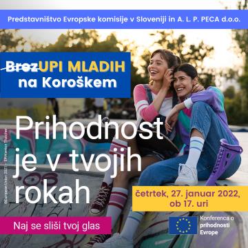 fin_BrezUPI MLADIH na Koroškem